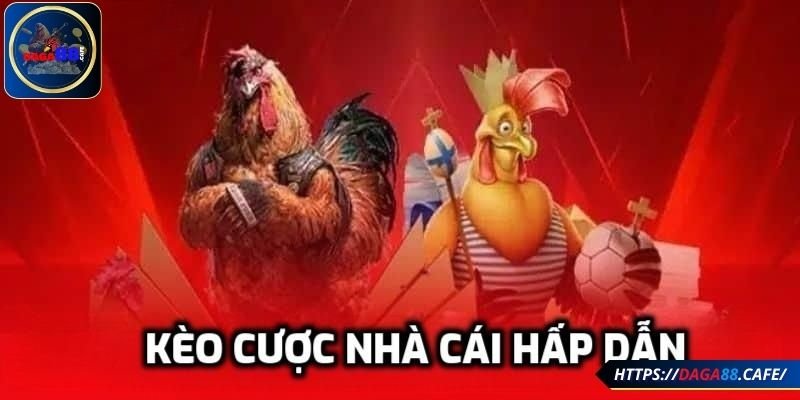 Kèo cược nhà cái hấp dẫn