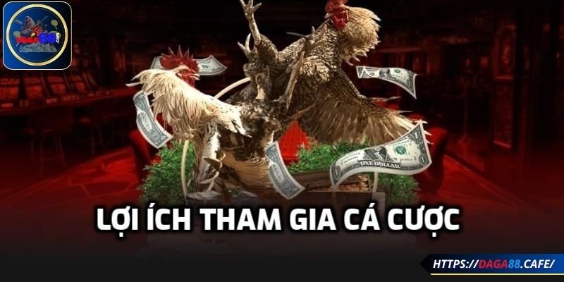 Lợi ích tham gia cá cược