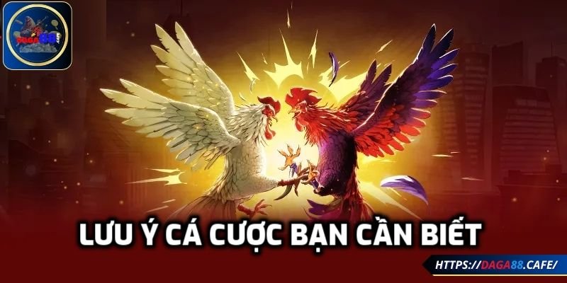 Lưu ý cá cược bạn cần biết