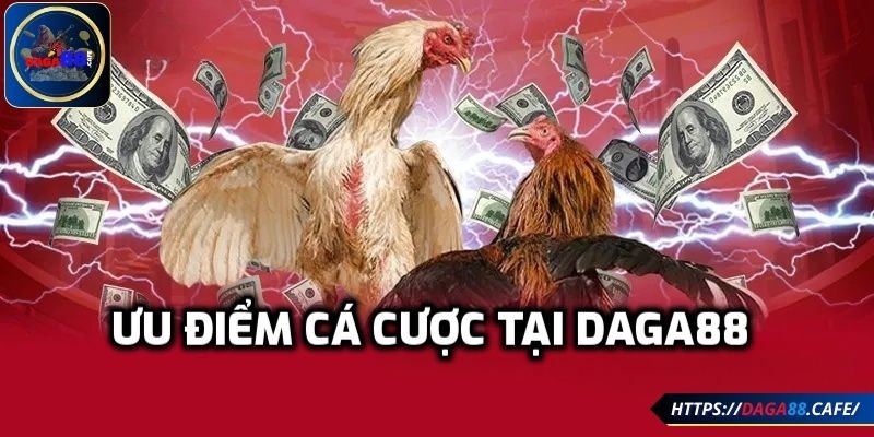 Ưu điểm cá cược tại DAGA88