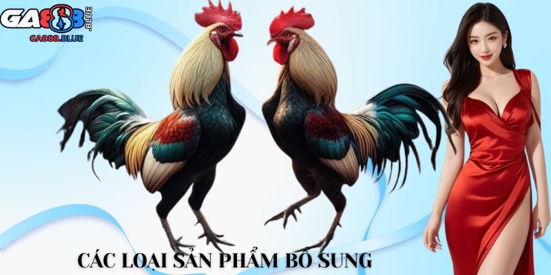 Các loại sản phẩm bổ sung
