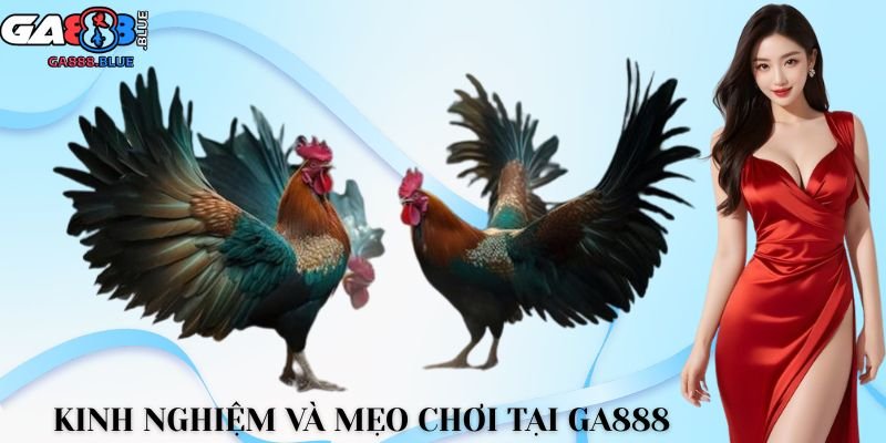 Kinh nghiệm và mẹo chơi tại GA888