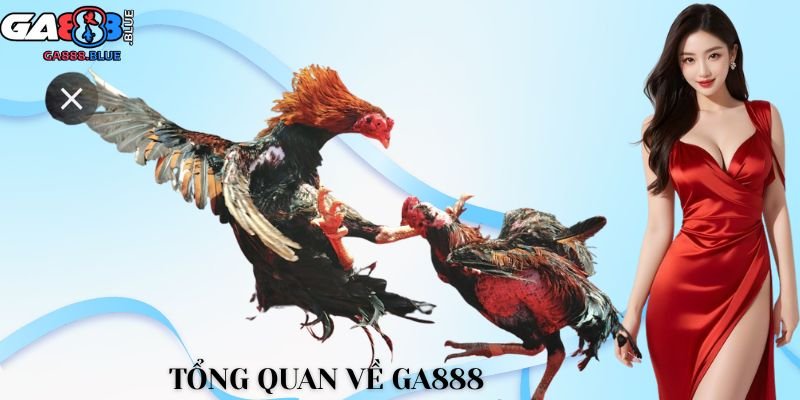 Tổng quan về GA888